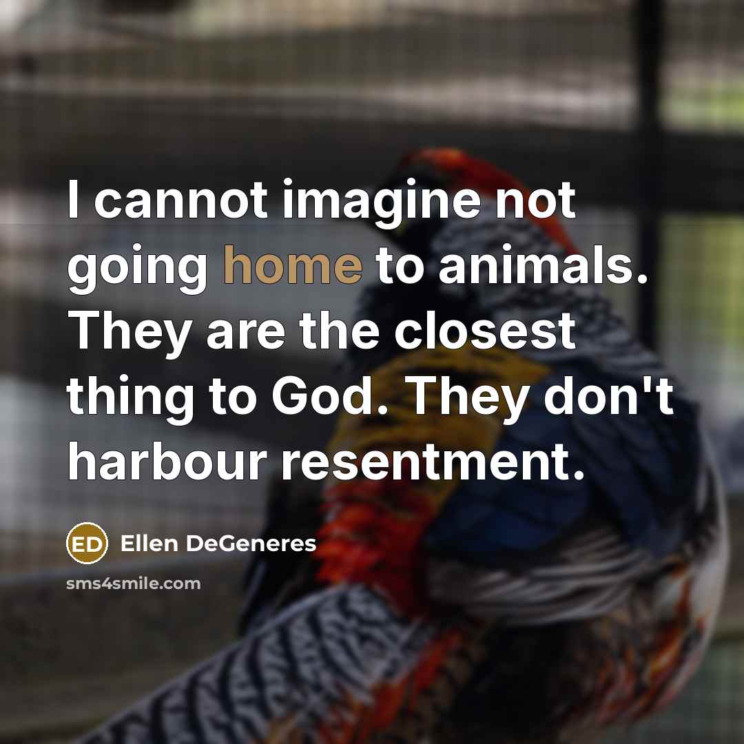 “I cannot imagine not going home to animals. They are…” quote by Ellen DeGeneres