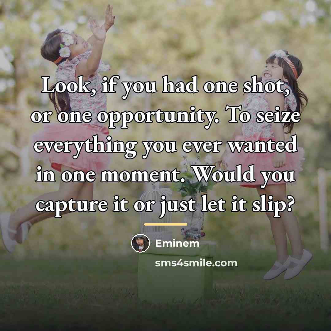 “Look, if you had one shot, or one opportunity. To…” quote by Eminem
