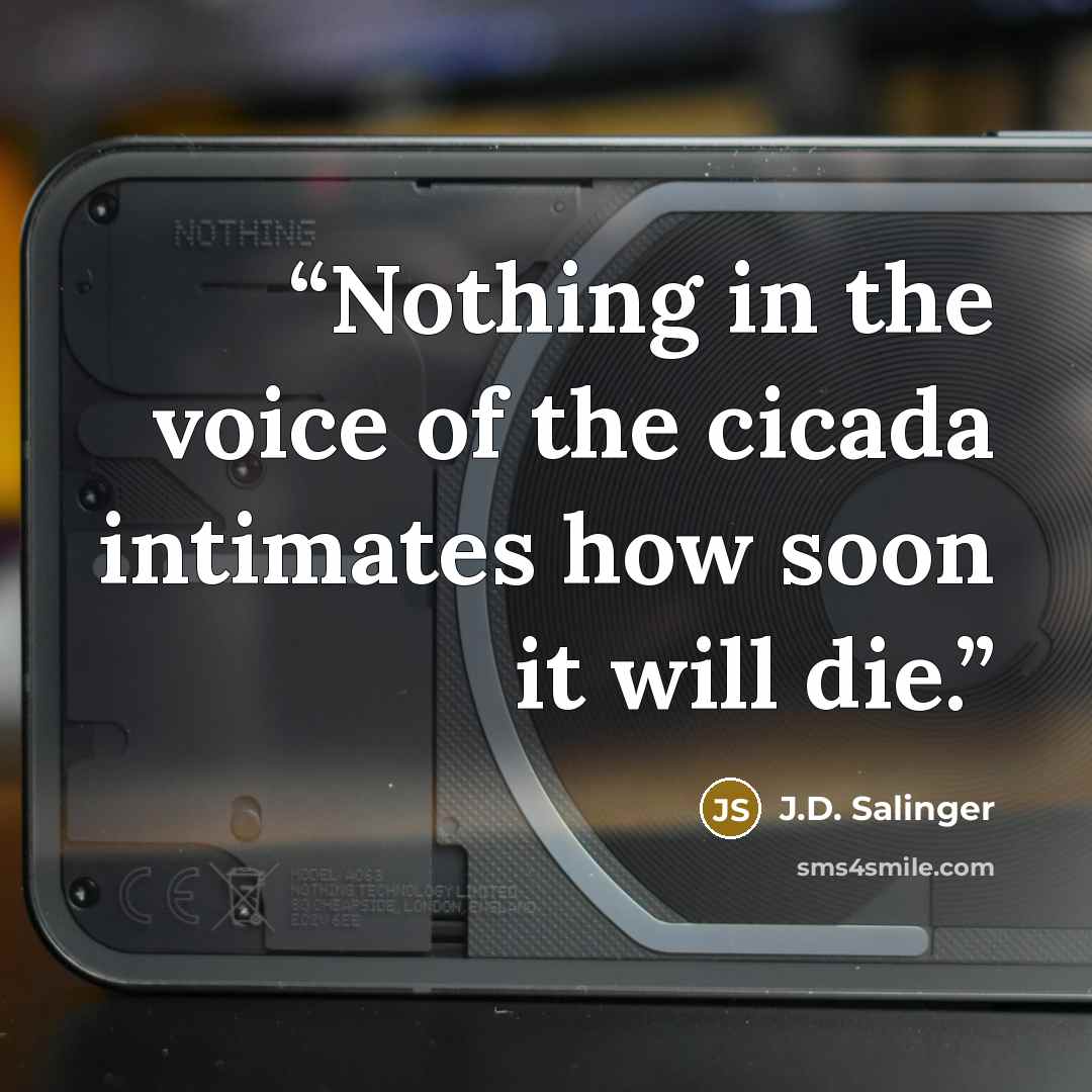 “Nothing in the voice of the cicada intimates how soon it will die.” quote by J.D. Salinger