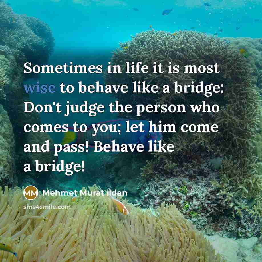 “Sometimes in life it is most wise to behave like…” quote by Mehmet Murat Ildan