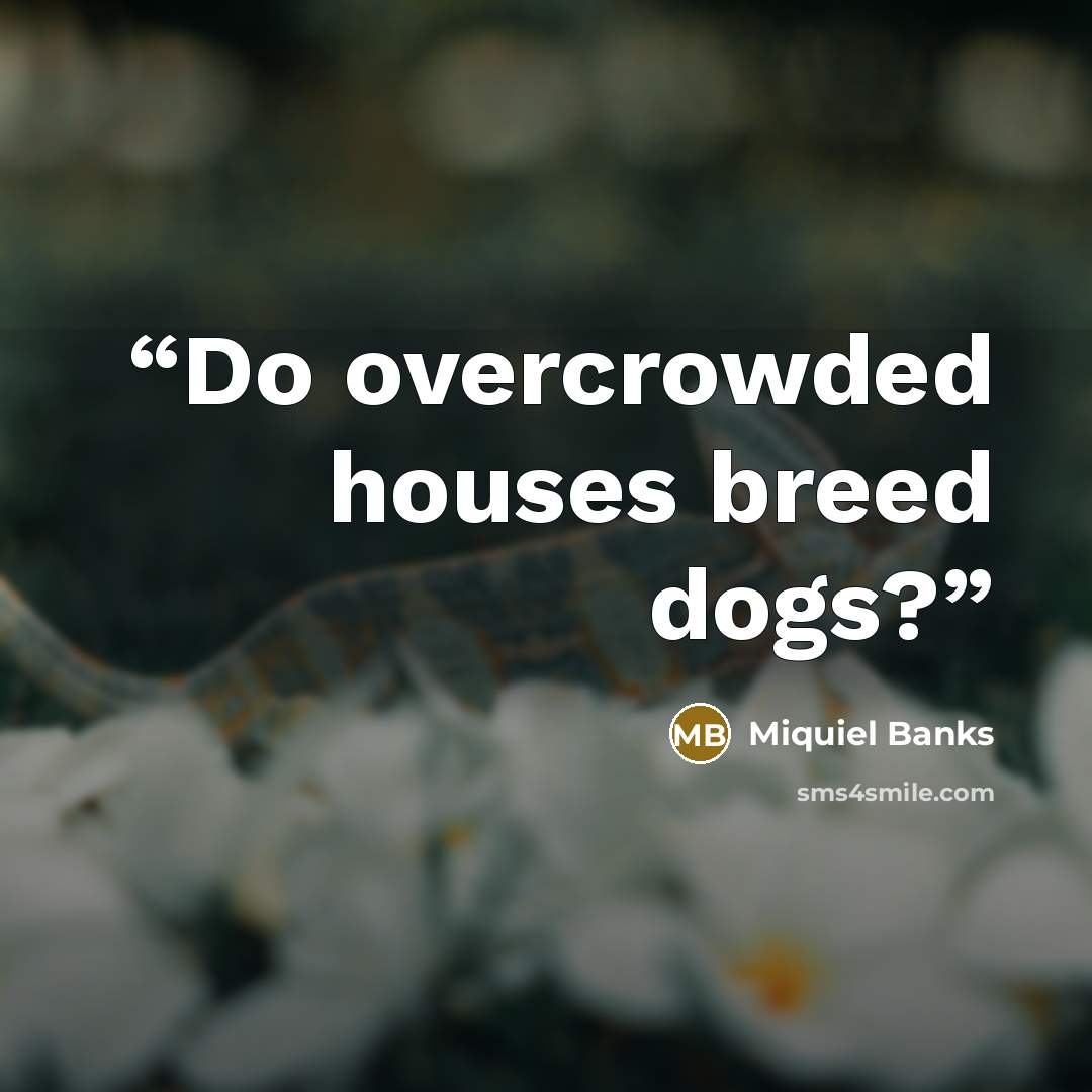 “Do overcrowded houses breed dogs?” quote by Miquiel Banks