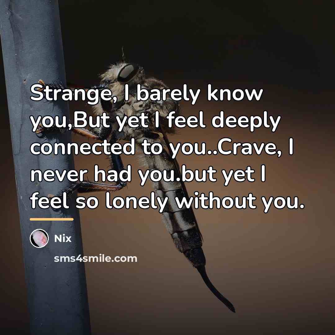 “Strange, I barely know you,But yet I feel deeply connected…” quote by Nix