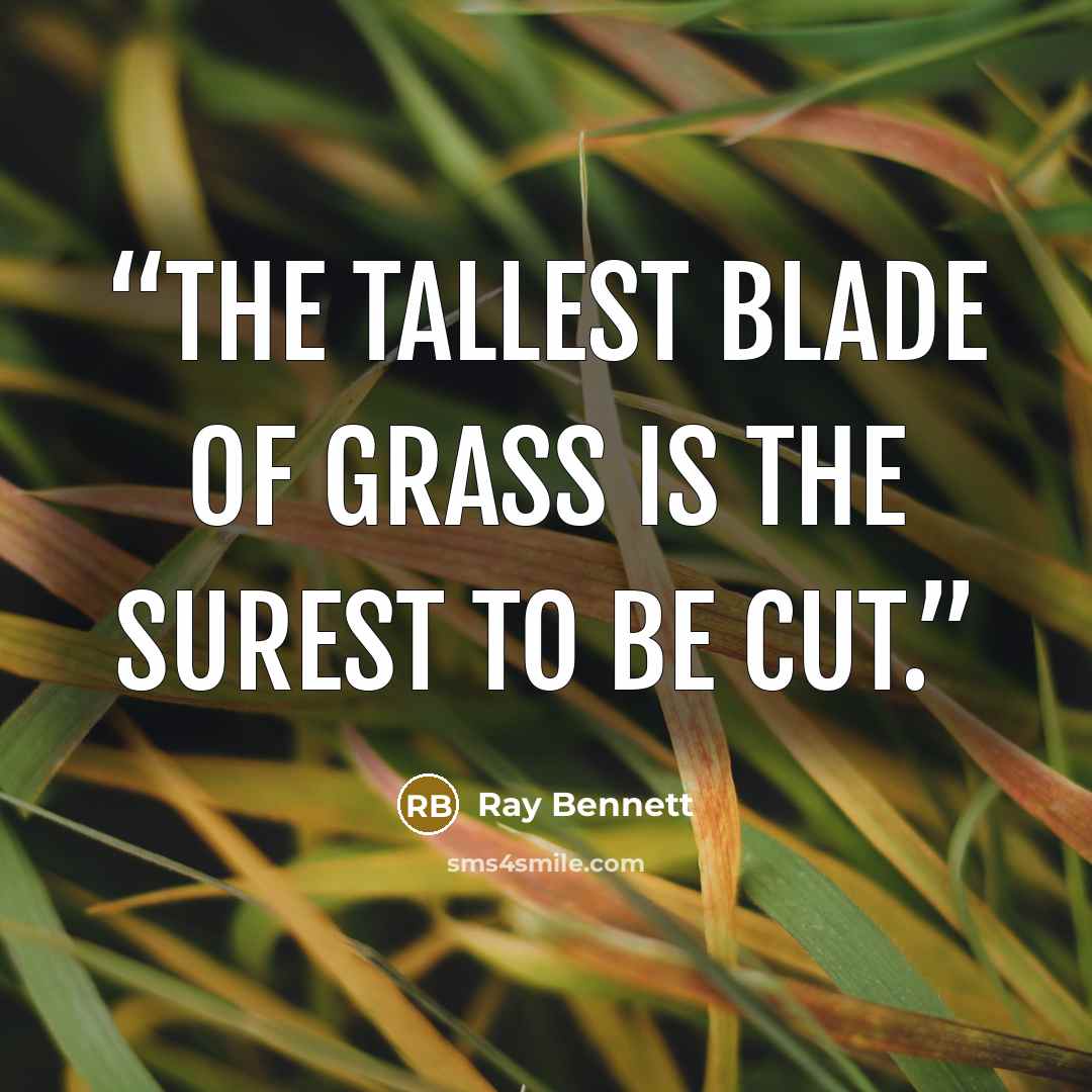 “The tallest blade of grass is the surest to be cut.” quote by Ray Bennett