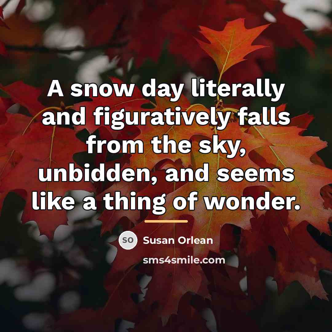 “A snow day literally and figuratively falls from the sky,…” quote by Susan Orlean