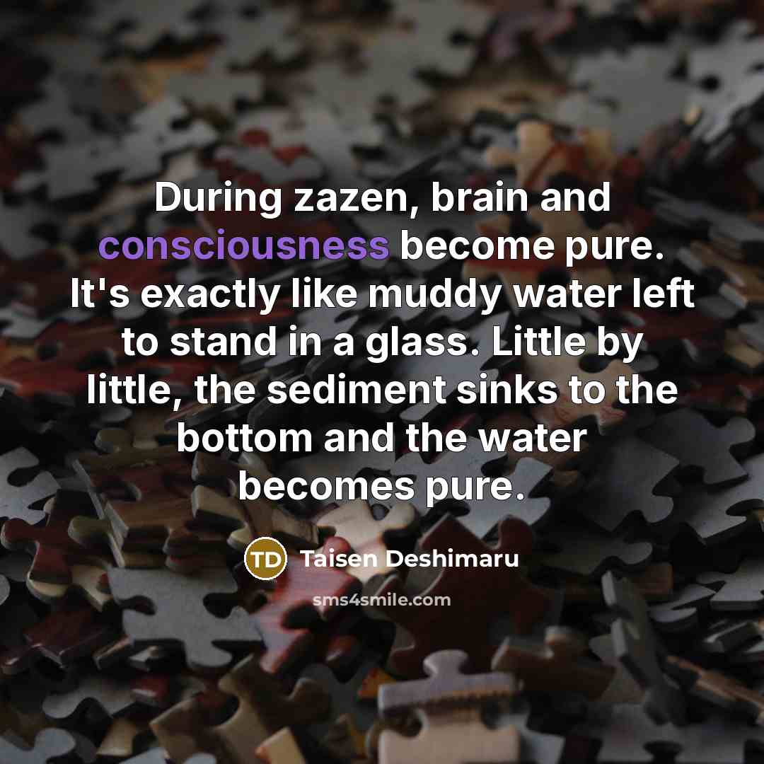 “During zazen, brain and consciousness become pure. It's exactly like…” quote by Taisen Deshimaru