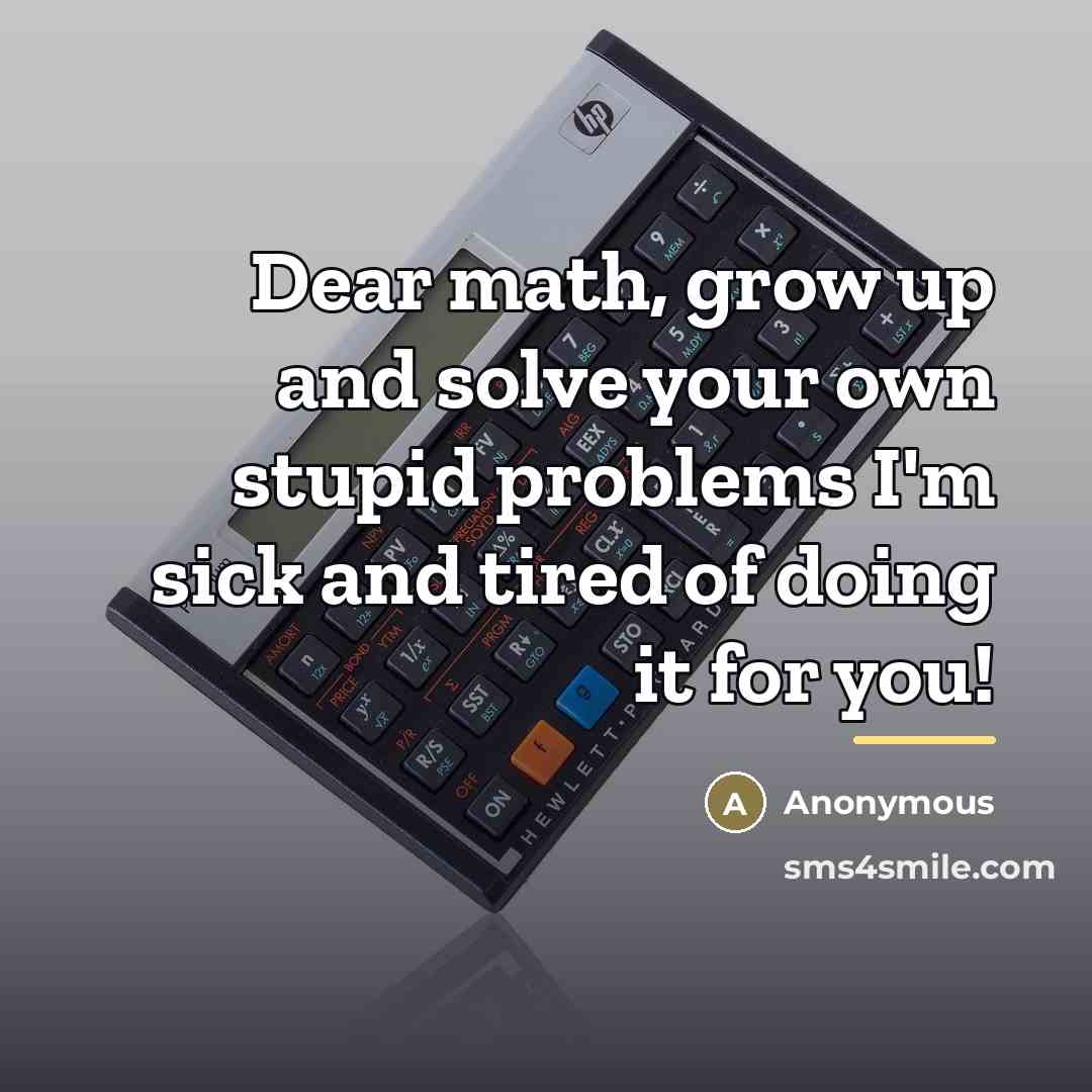 “Dear math, grow up and solve your own stupid problems…” quote by Anonymous