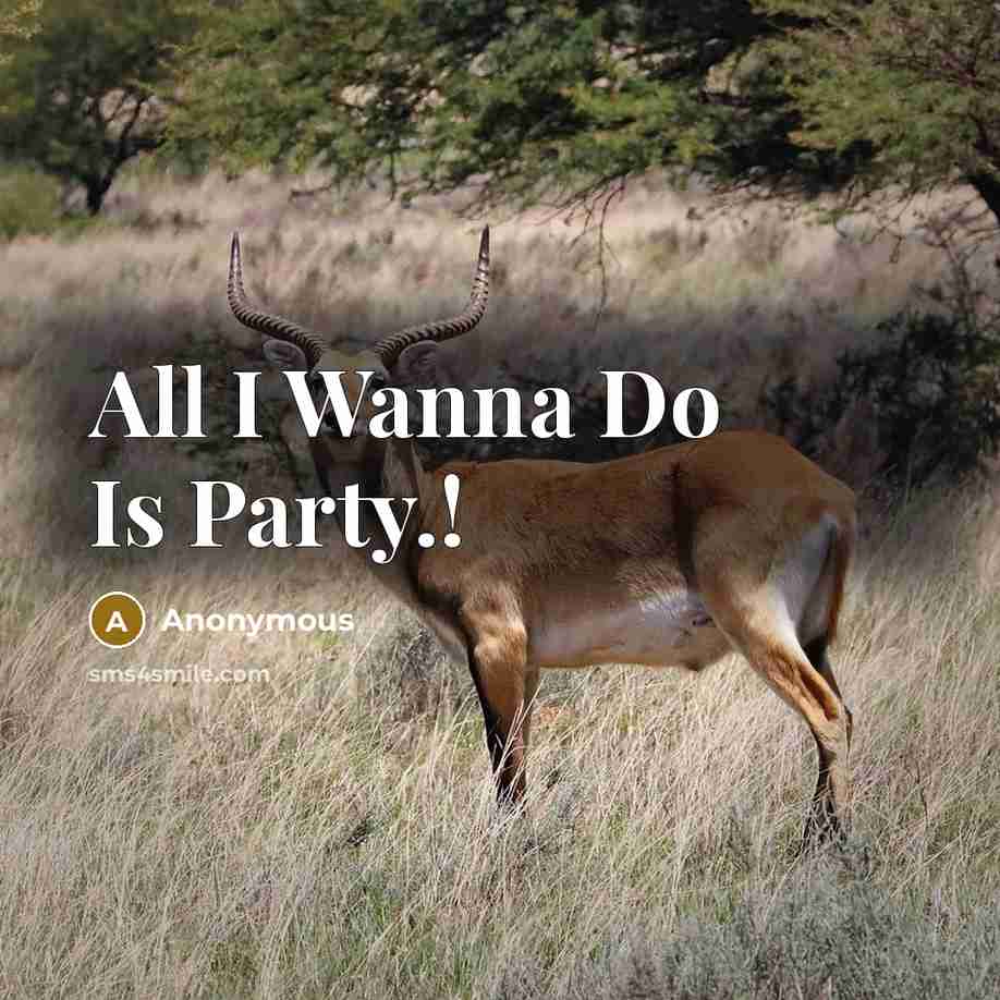 “All I Wanna Do Is Party.!” quote by Anonymous