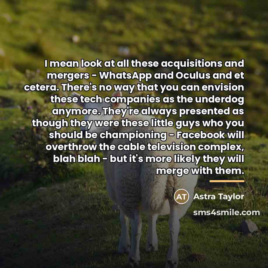 “I mean look at all these acquisitions and mergers -…” quote by Astra Taylor