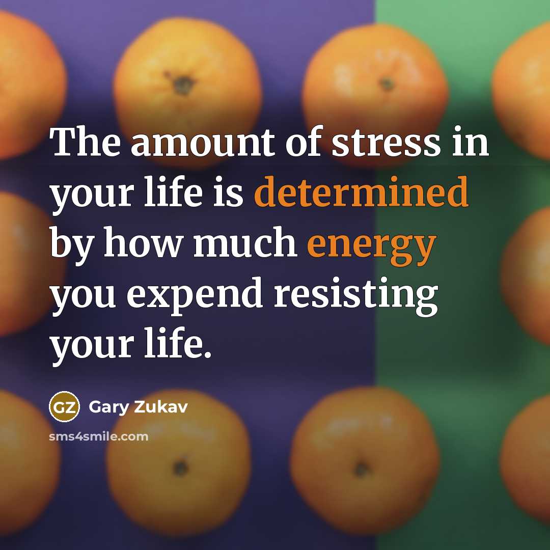“The amount of stress in your life is determined by…” quote by Gary Zukav