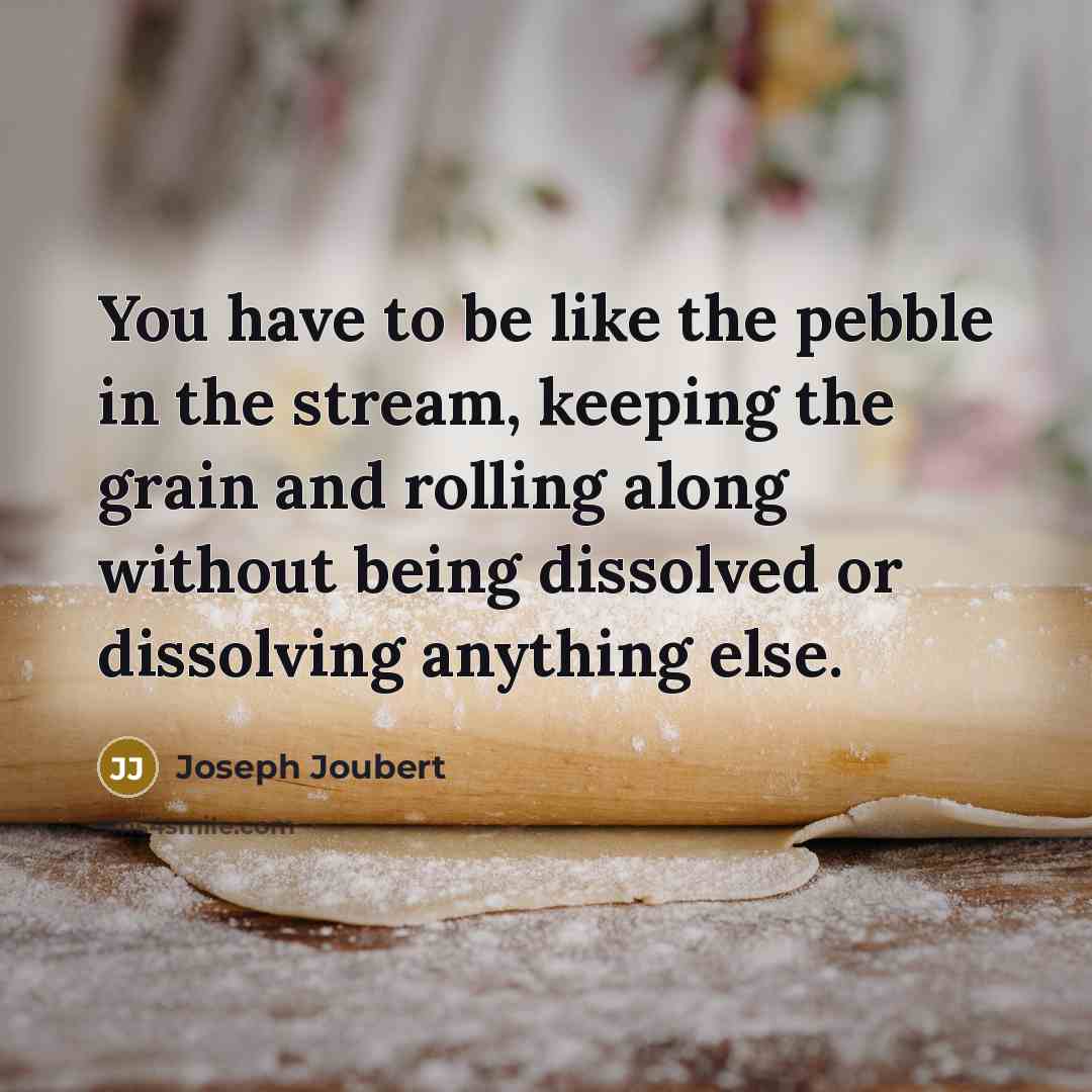 “You have to be like the pebble in the stream,…” quote by Joseph Joubert