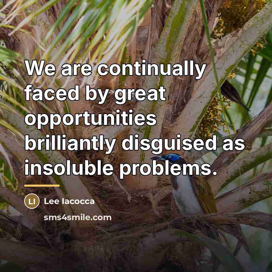 “We are continually faced by great opportunities brilliantly disguised as…” quote by Lee Iacocca