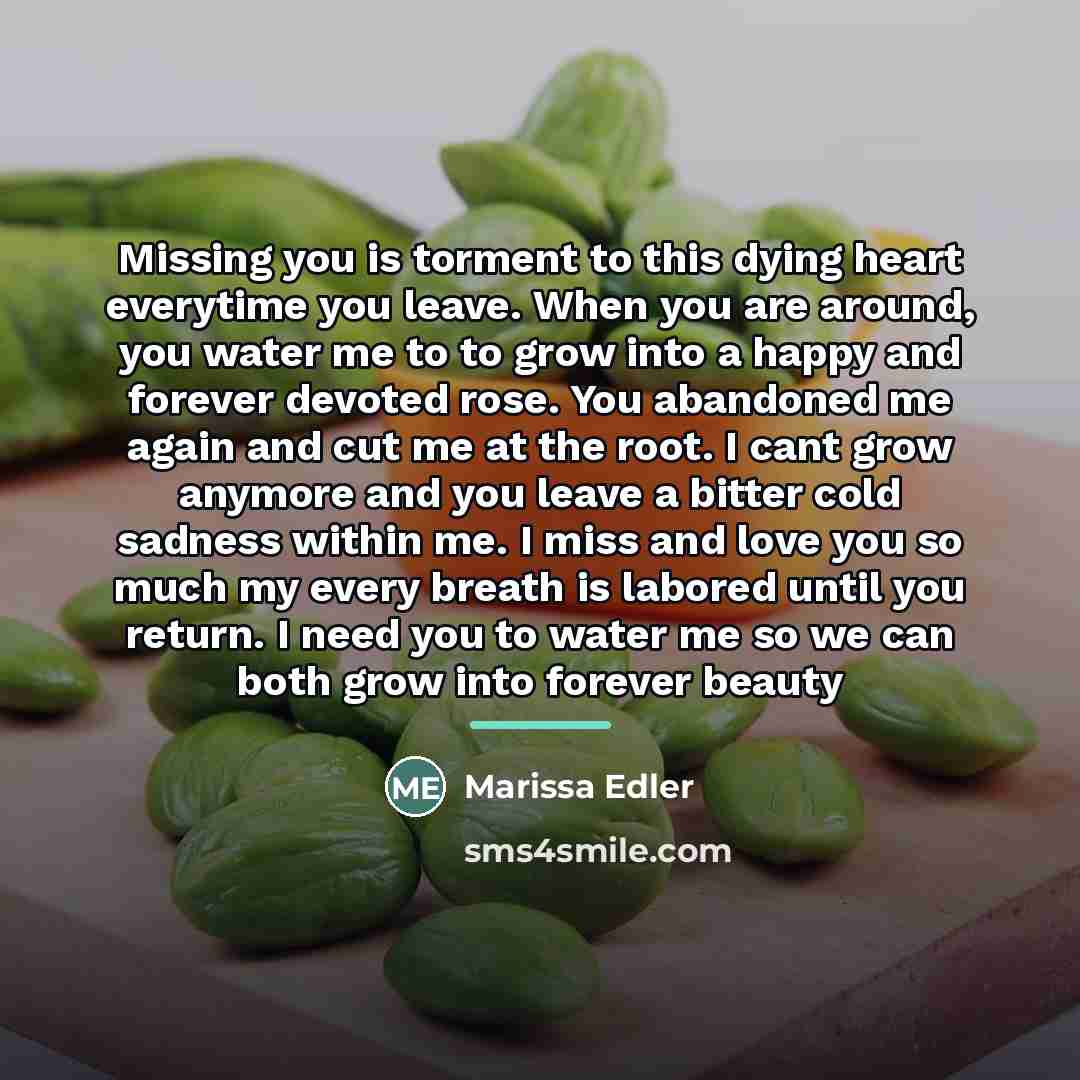 “Missing you is torment to this dying heart everytime you…” quote by Marissa Edler
