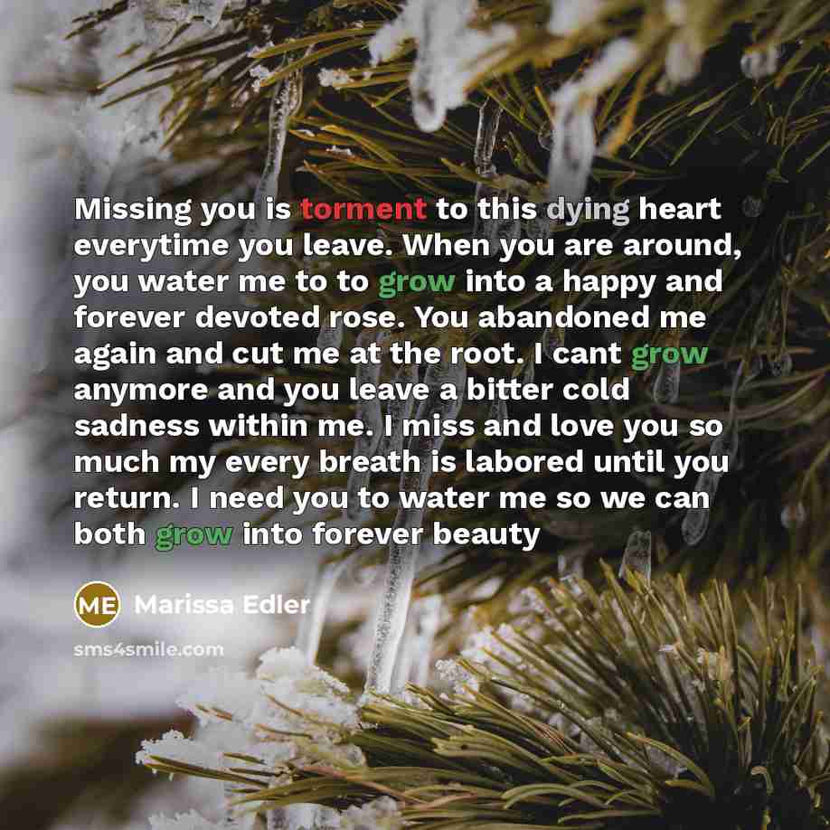 “Missing you is torment to this dying heart everytime you leave. When you are around, you water me to to grow into a happy and forever devoted rose. You abandoned me again and cut me at the root. I cant grow anymore and you leave a bitter cold sadness within me. I miss and love you so much my every…” quote by Marissa Edler