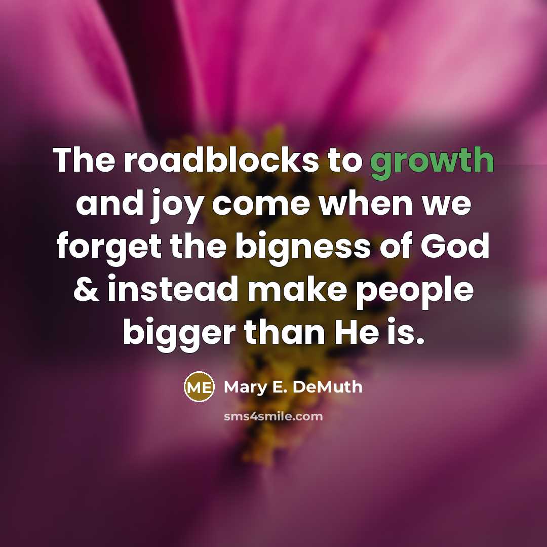 “The roadblocks to growth and joy come when we forget…” quote by Mary E. DeMuth