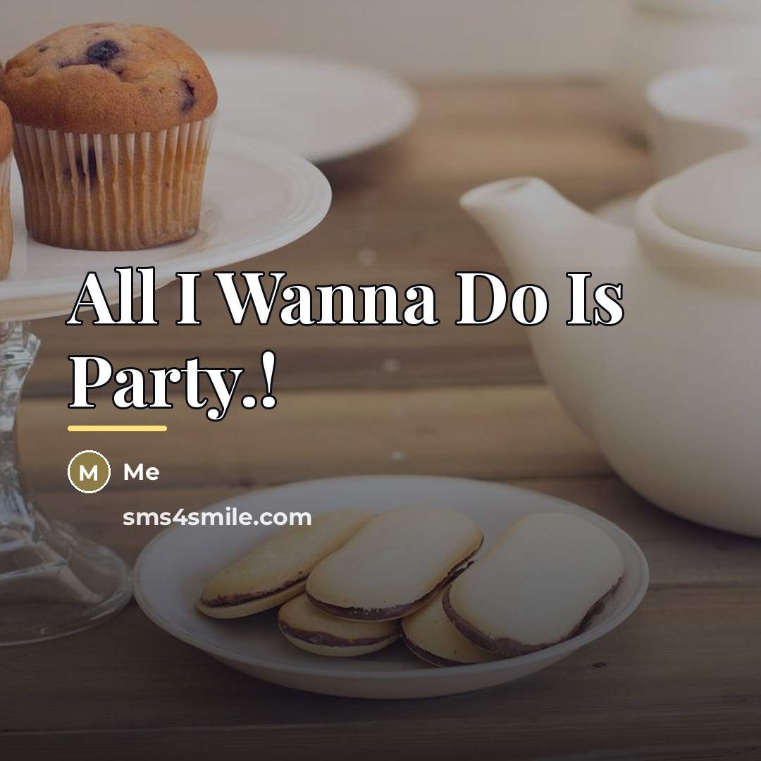 “All I Wanna Do Is Party.!…” quote by Me