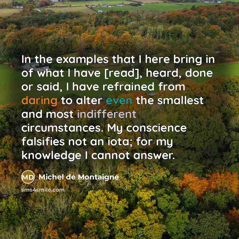 “In the examples that I here bring in of what…” quote by Michel de Montaigne