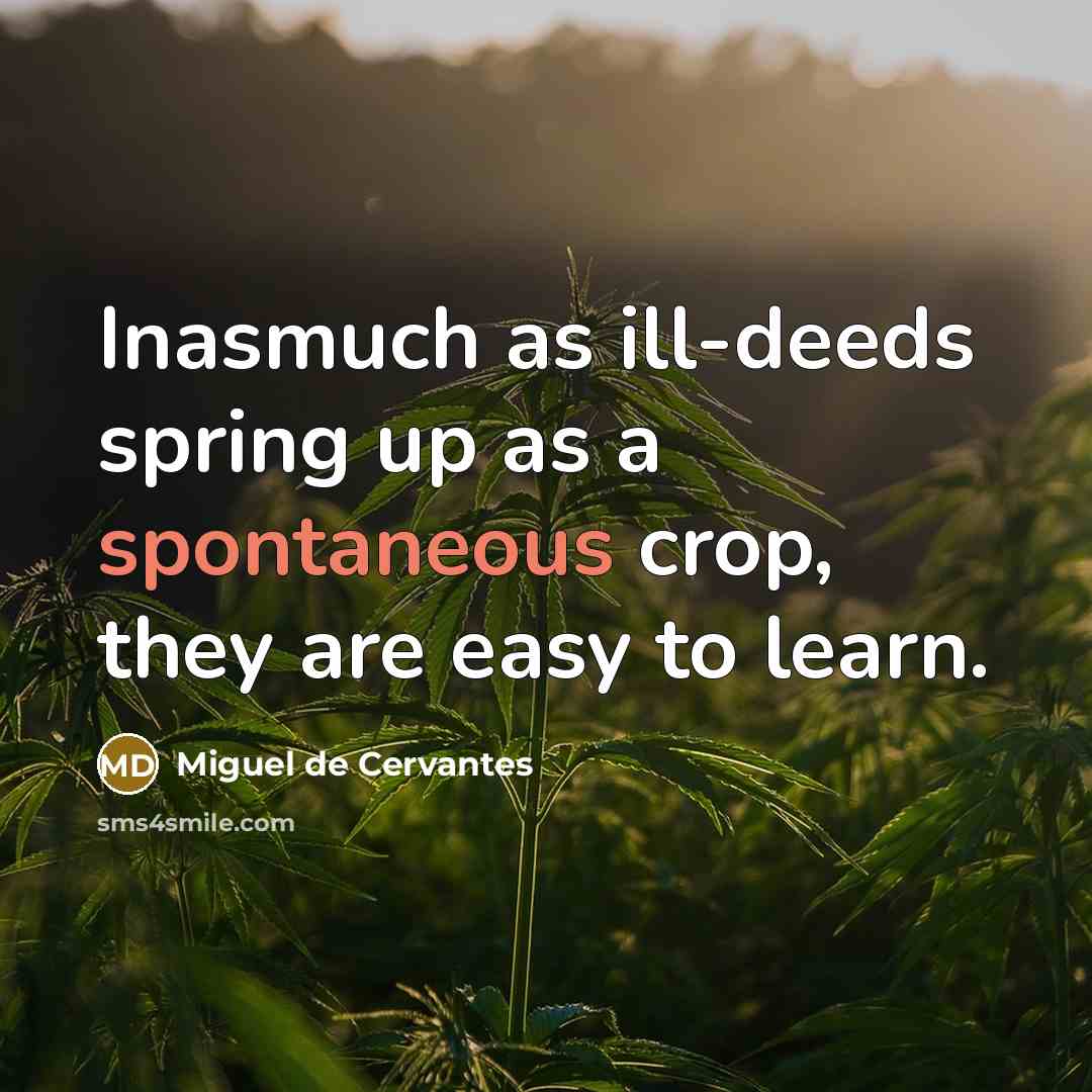 “Inasmuch as ill-deeds spring up as a spontaneous crop, they…” quote by Miguel de Cervantes