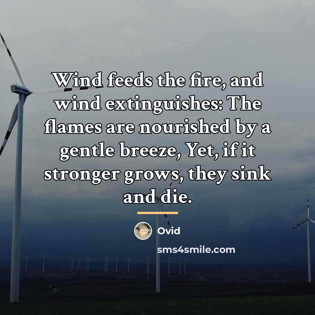 “Wind feeds the fire, and wind extinguishes: The flames are…” quote by Ovid
