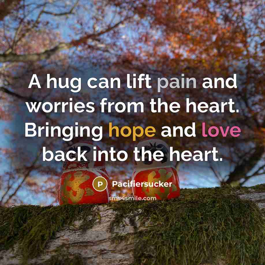 “A hug can lift pain and worries from the heart.…” quote by Pacifiersucker