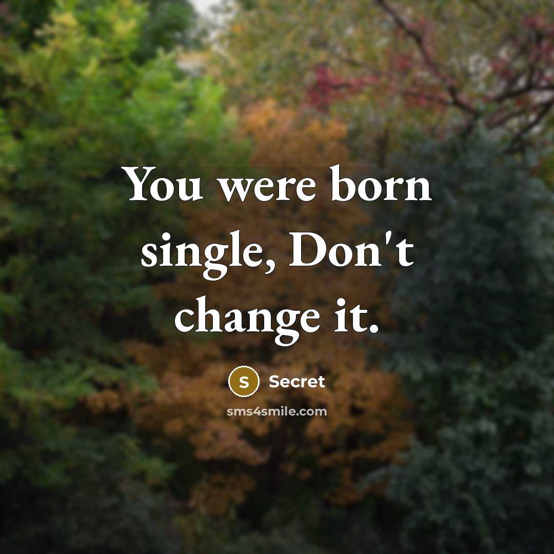 “You were born single, Don't change it.…” quote by Secret
