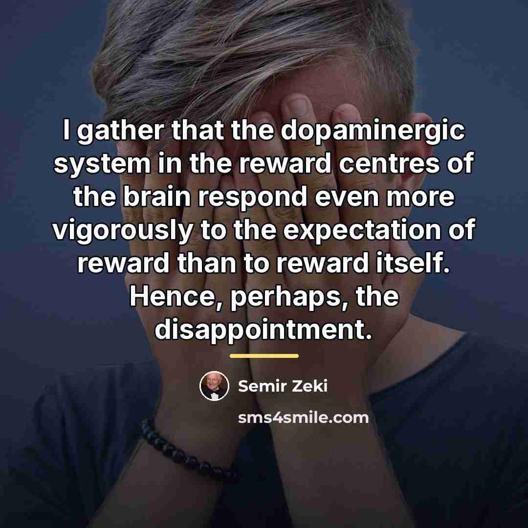 “I gather that the dopaminergic system in the reward centres…” quote by Semir Zeki