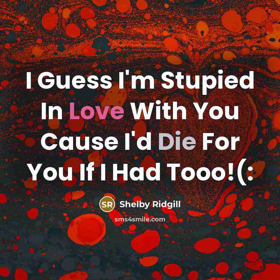 “I Guess I'm Stupied In Love With You Cause I'd…” quote by Shelby Ridgill