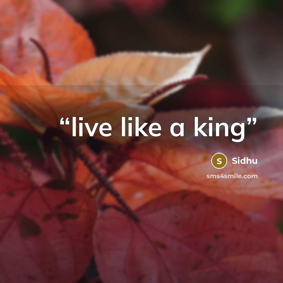 “live like a king” quote by Sidhu