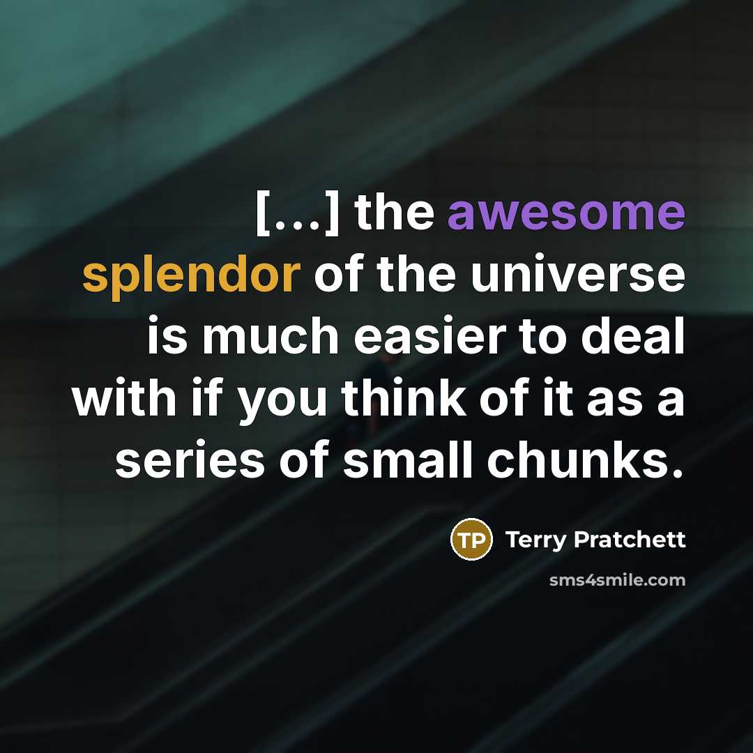 “[...] the awesome splendor of the universe is much easier…” quote by Terry Pratchett
