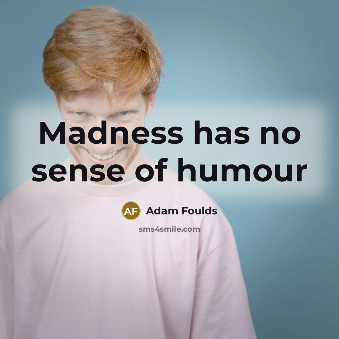 “Madness has no sense of humour” quote by Adam Foulds