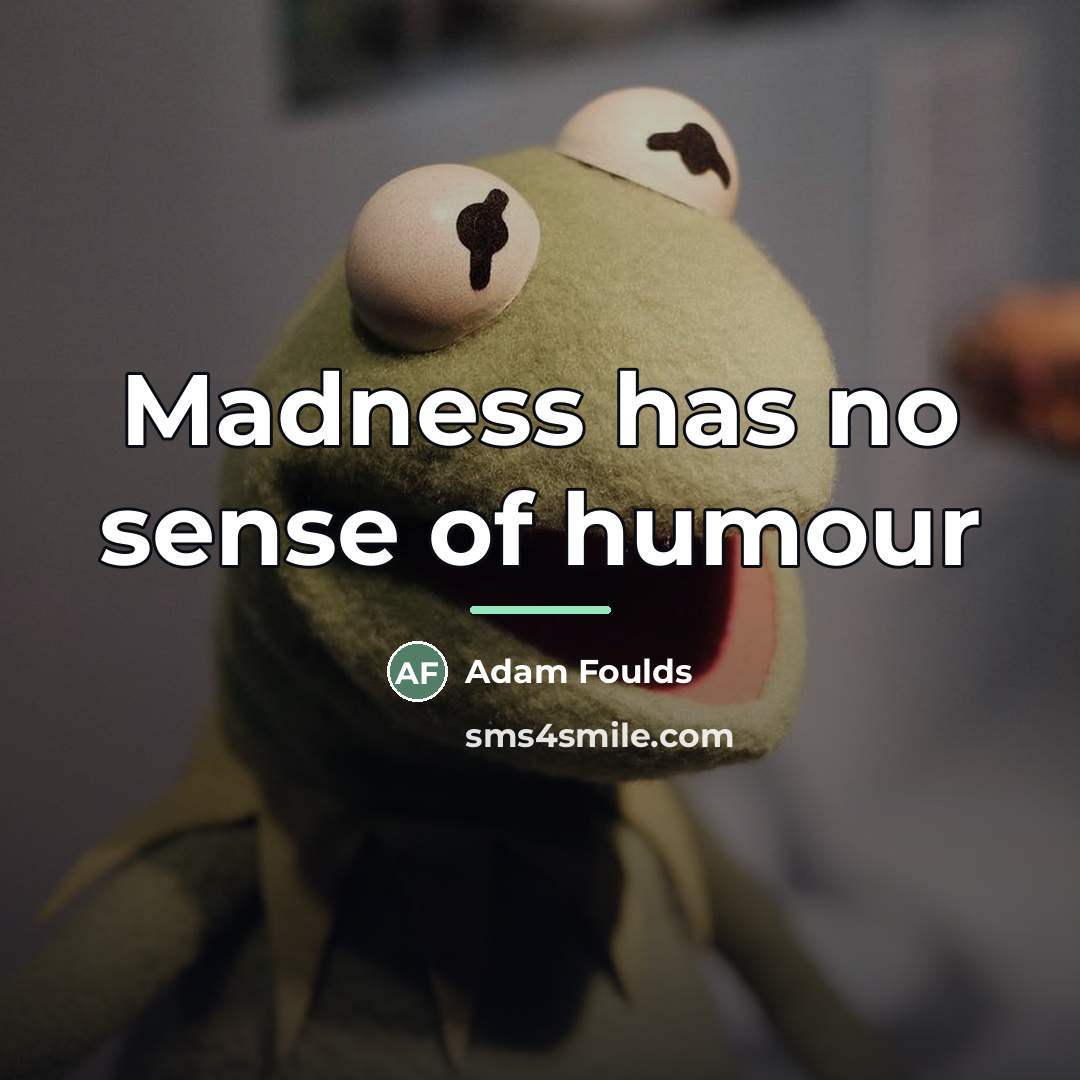 “Madness has no sense of humour…” quote by Adam Foulds