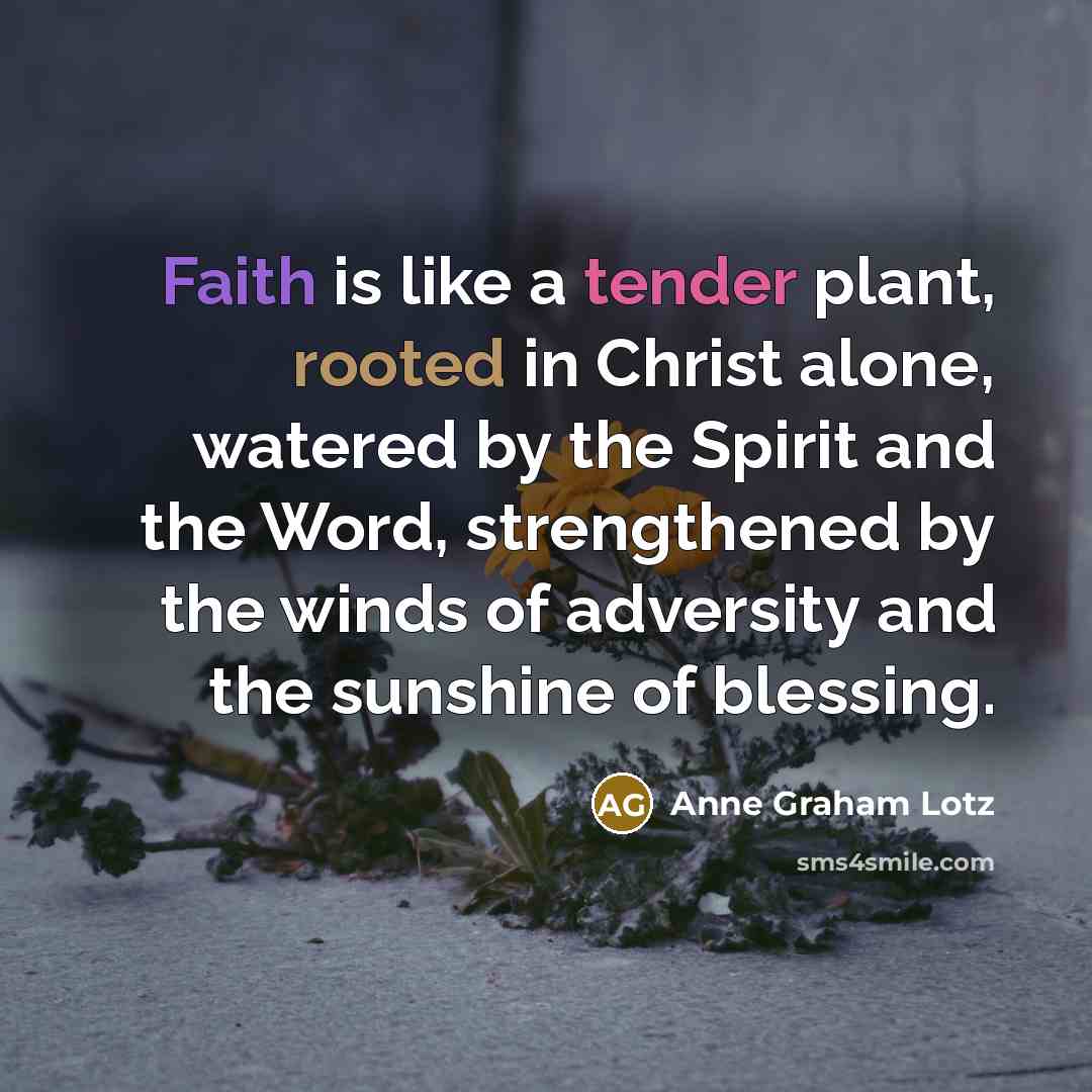 “Faith is like a tender plant, rooted in Christ alone,…” quote by Anne Graham Lotz