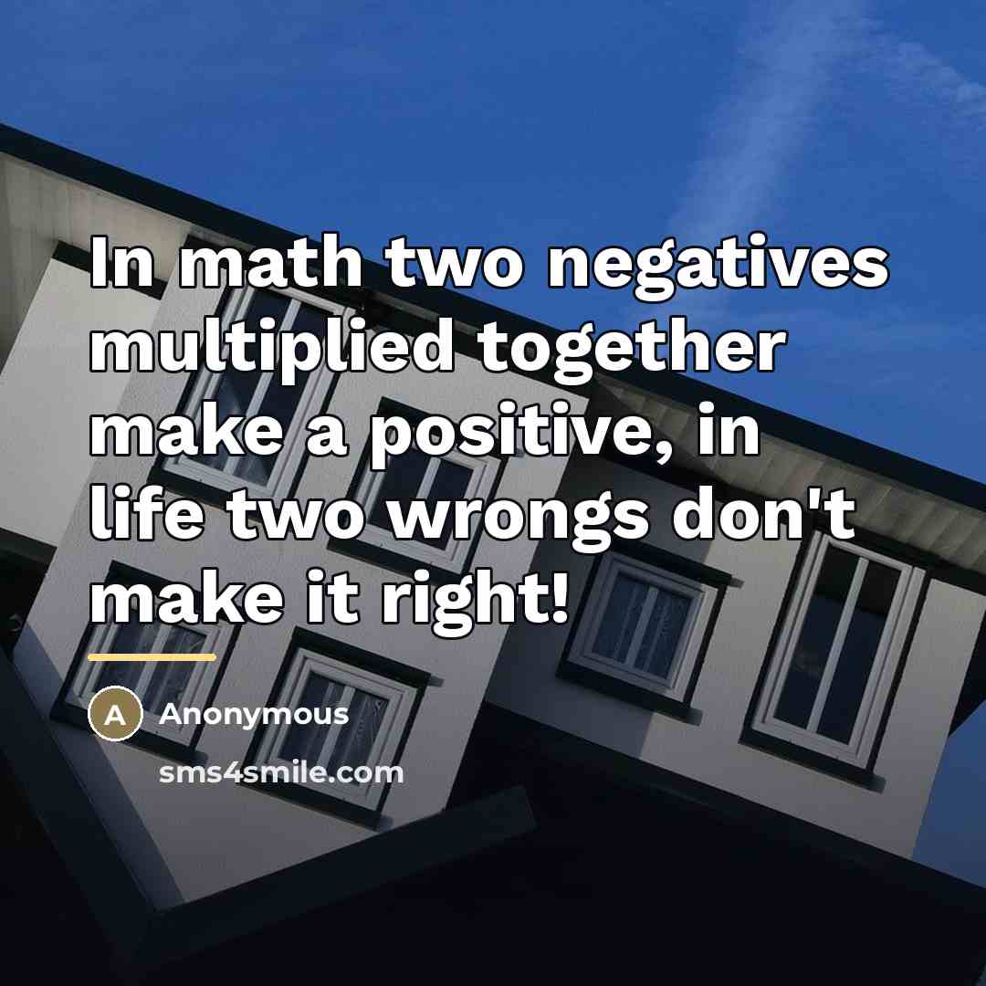 “In math two negatives multiplied together make a positive, in…” quote by Anonymous