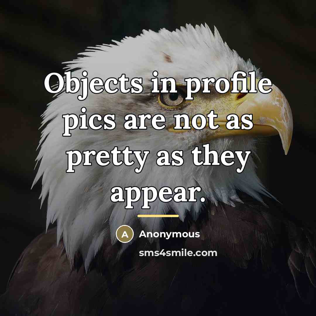 “Objects in profile pics are not as pretty as they…” quote by Anonymous