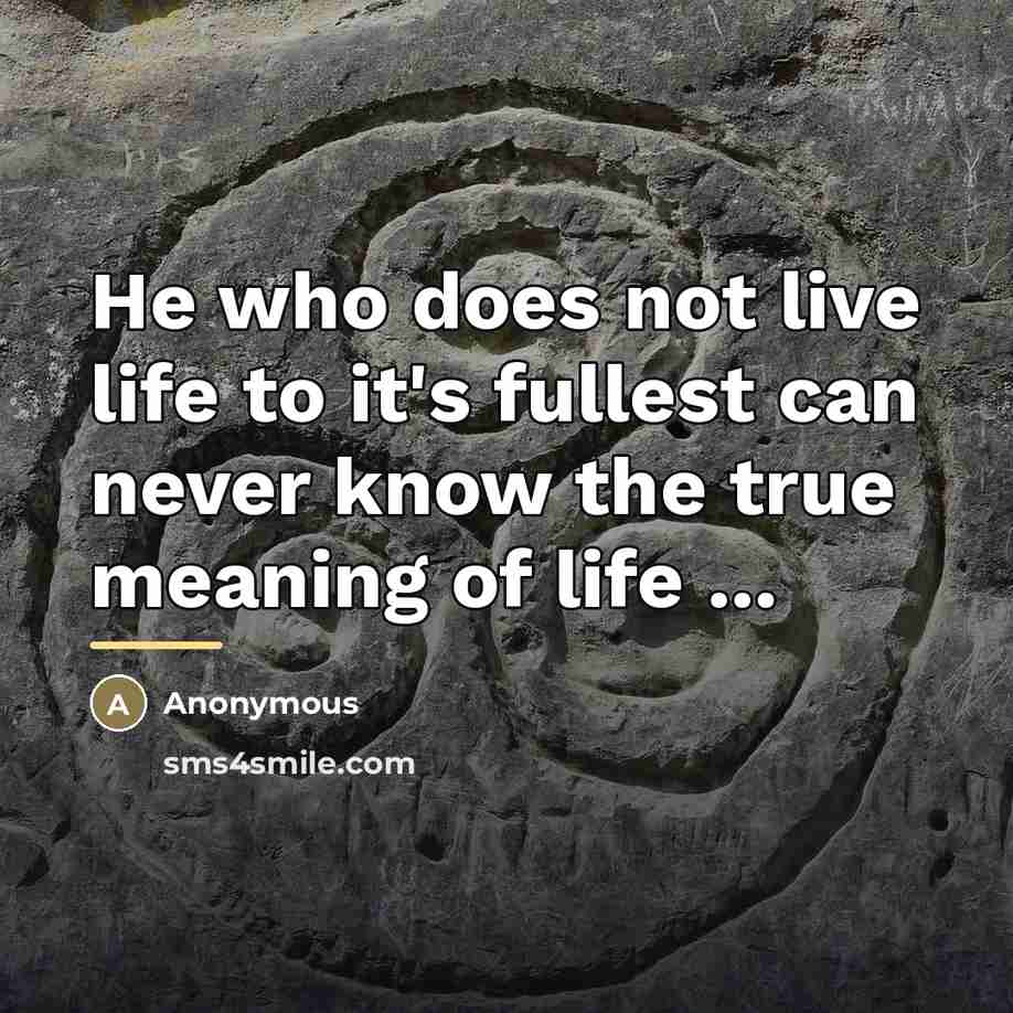 “He who does not live life to it's fullest can…” quote by Anonymous