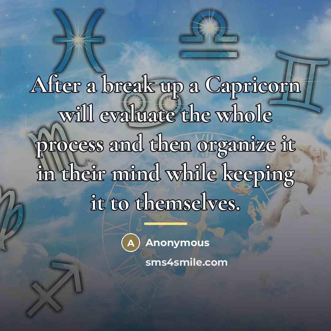 “After a break up a Capricorn will evaluate the whole…” quote by Anonymous