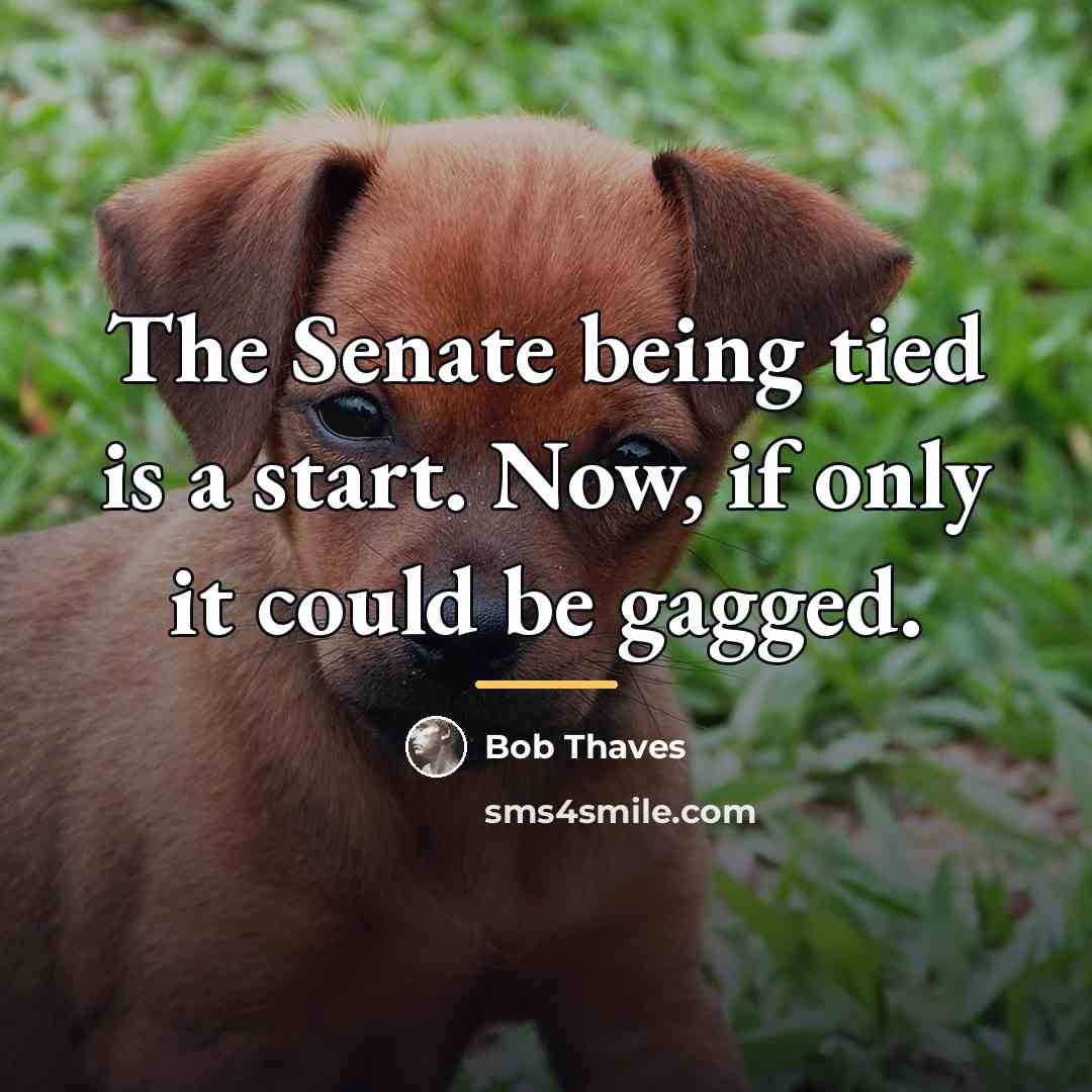 “The Senate being tied is a start. Now, if only…” quote by Bob Thaves