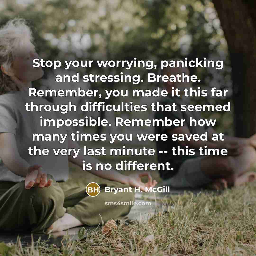 “Stop your worrying, panicking and stressing. Breathe. Remember, you made…” quote by Bryant H. McGill