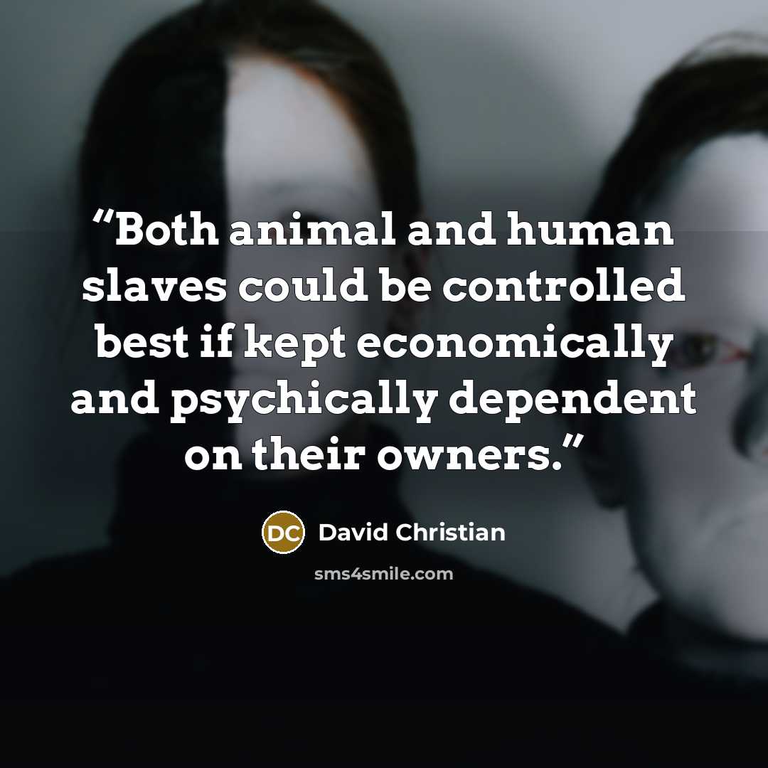 “Both animal and human slaves could be controlled best if kept economically and psychically dependent on their owners.” quote by David Christian