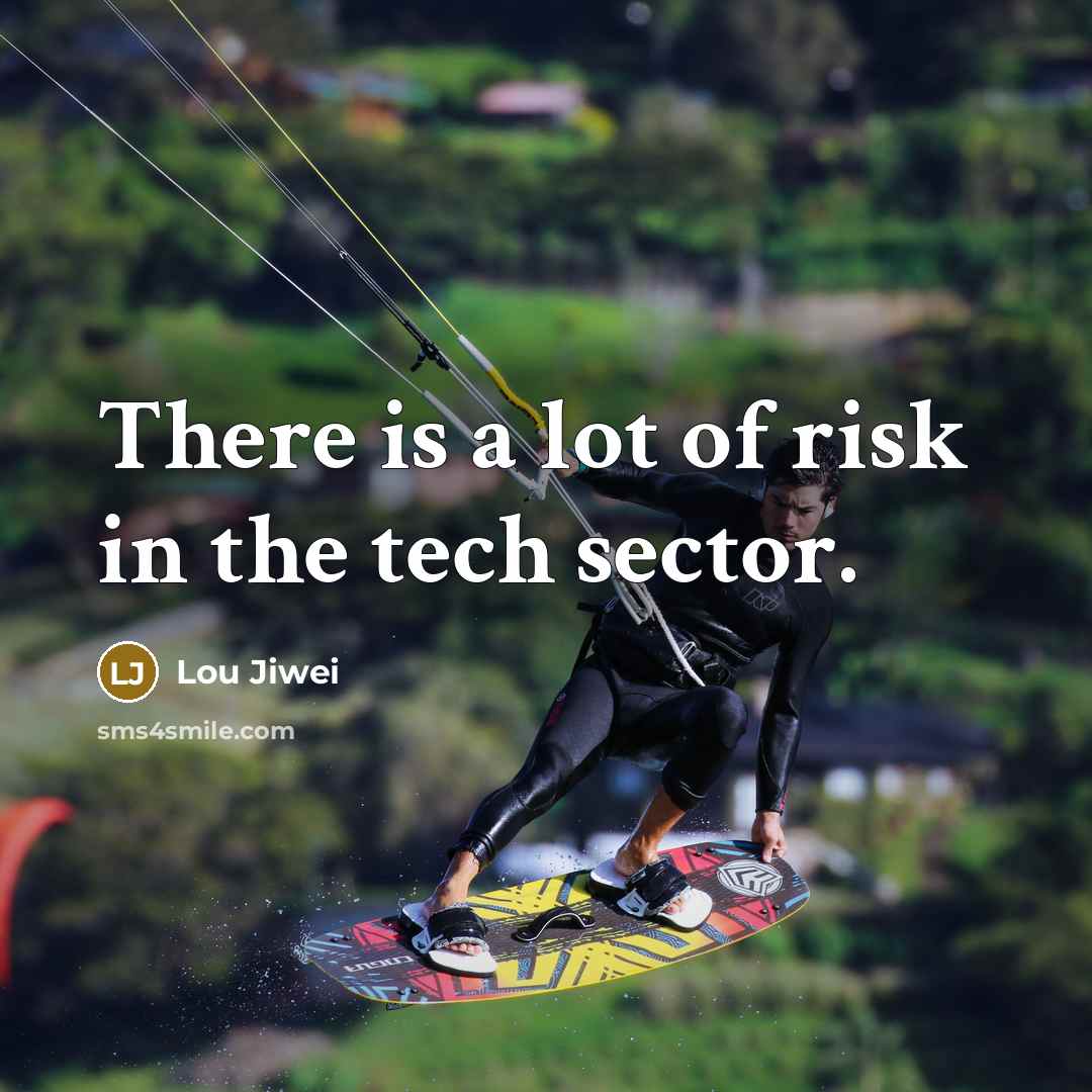 “There is a lot of risk in the tech sector.…” quote by Lou Jiwei