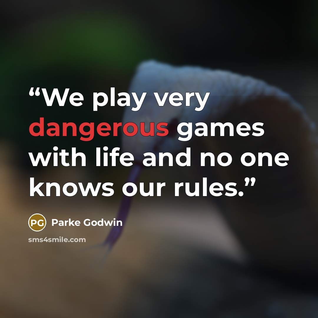 “We play very dangerous games with life and no one knows our rules.” quote by Parke Godwin