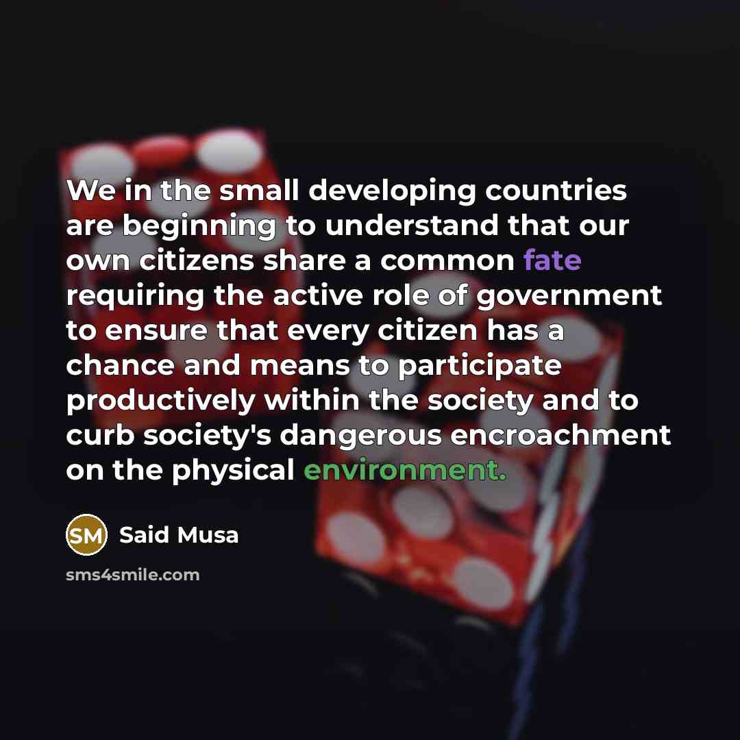 “We in the small developing countries are beginning to understand…” quote by Said Musa