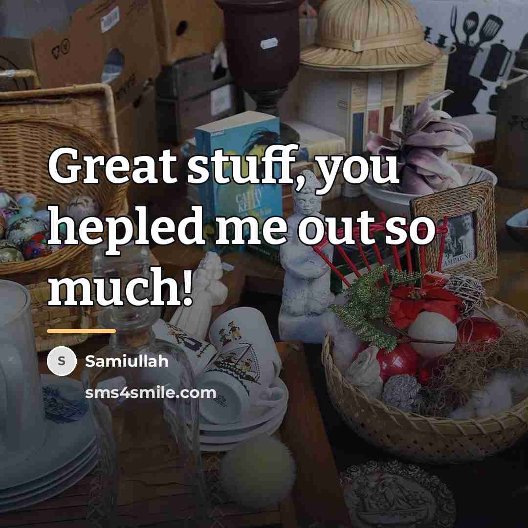 “Great stuff, you hepled me out so much!…” quote by Samiullah