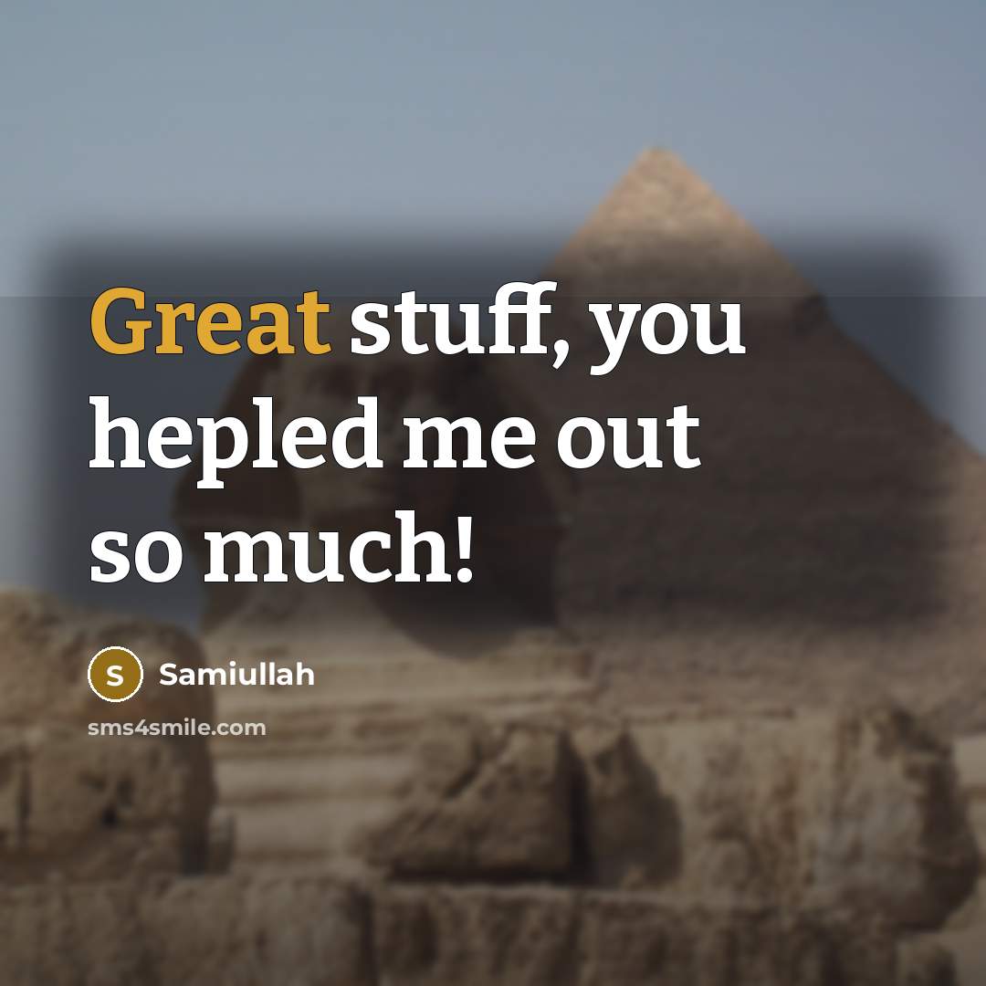 “Great stuff, you hepled me out so much!” quote by Samiullah