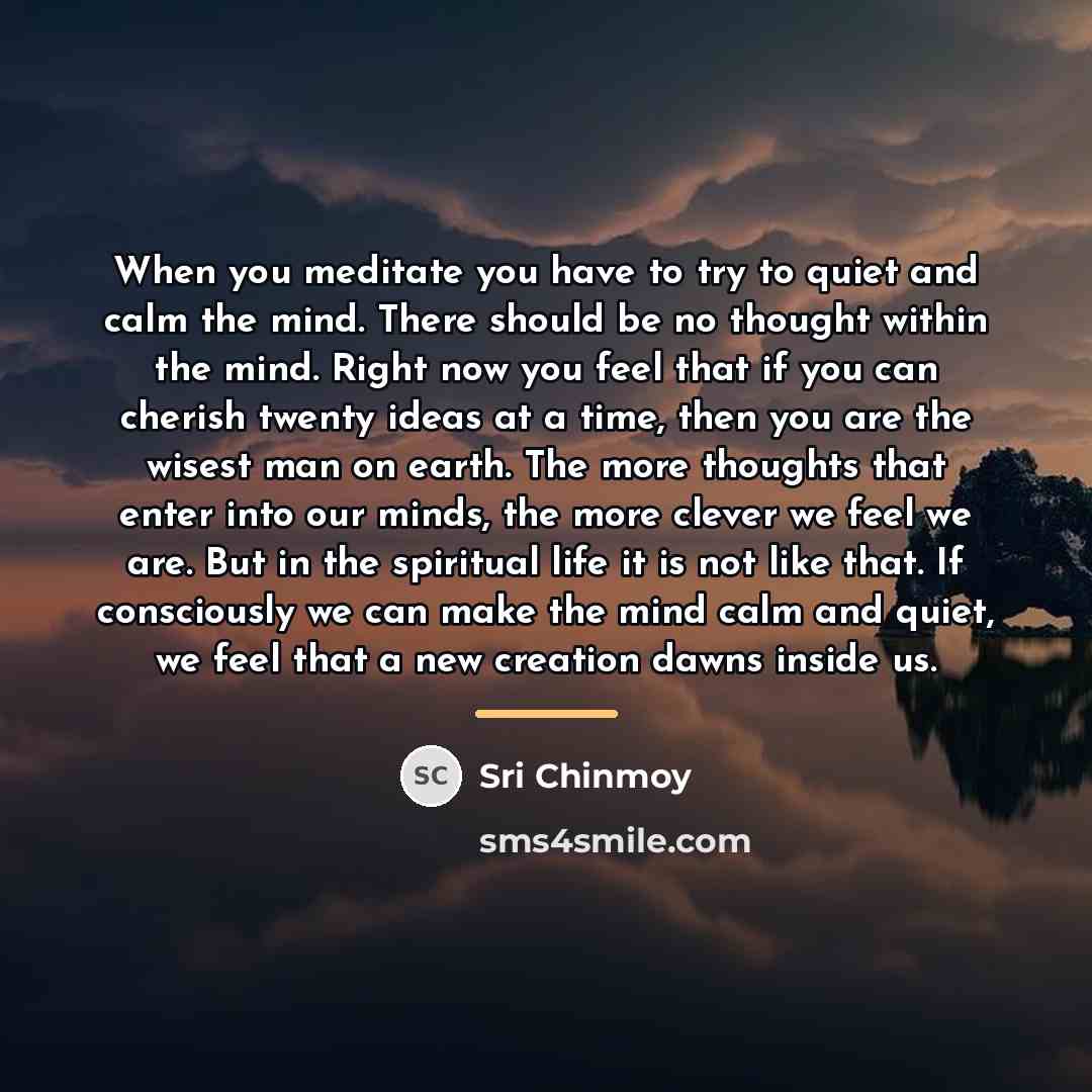 “When you meditate you have to try to quiet and…” quote by Sri Chinmoy