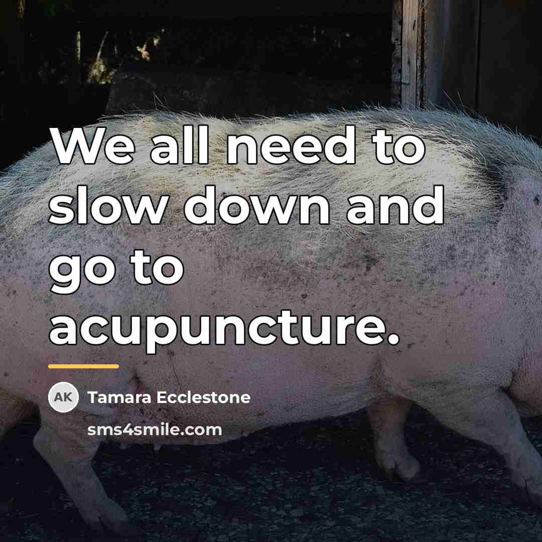 “We all need to slow down and go to acupuncture.…” quote by Tamara Ecclestone
