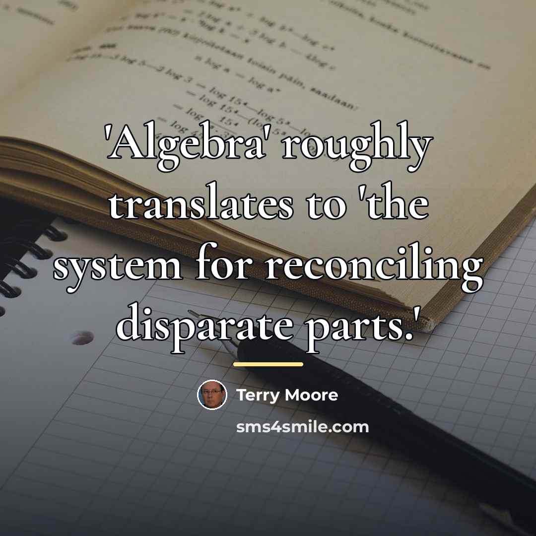 “'Algebra' roughly translates to 'the system for reconciling disparate parts.'…” quote by Terry Moore