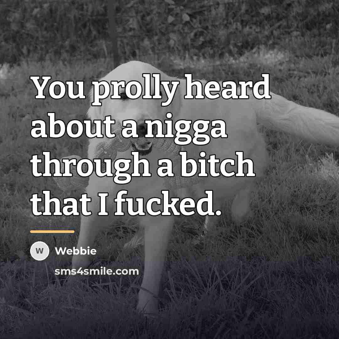 “You prolly heard about a nigga through a bitch that…” quote by Webbie