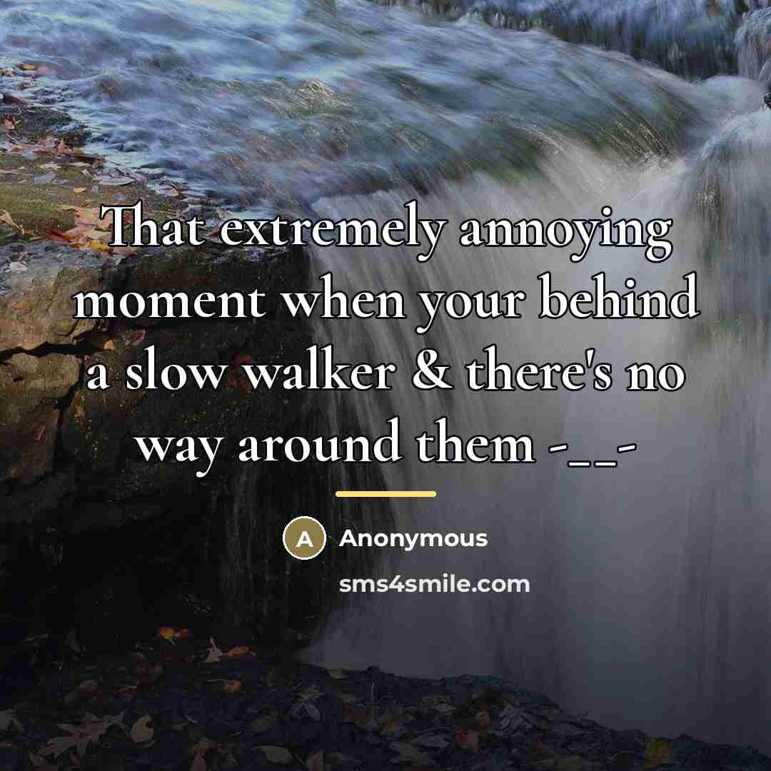“That extremely annoying moment when your behind a slow walker…” quote by Anonymous