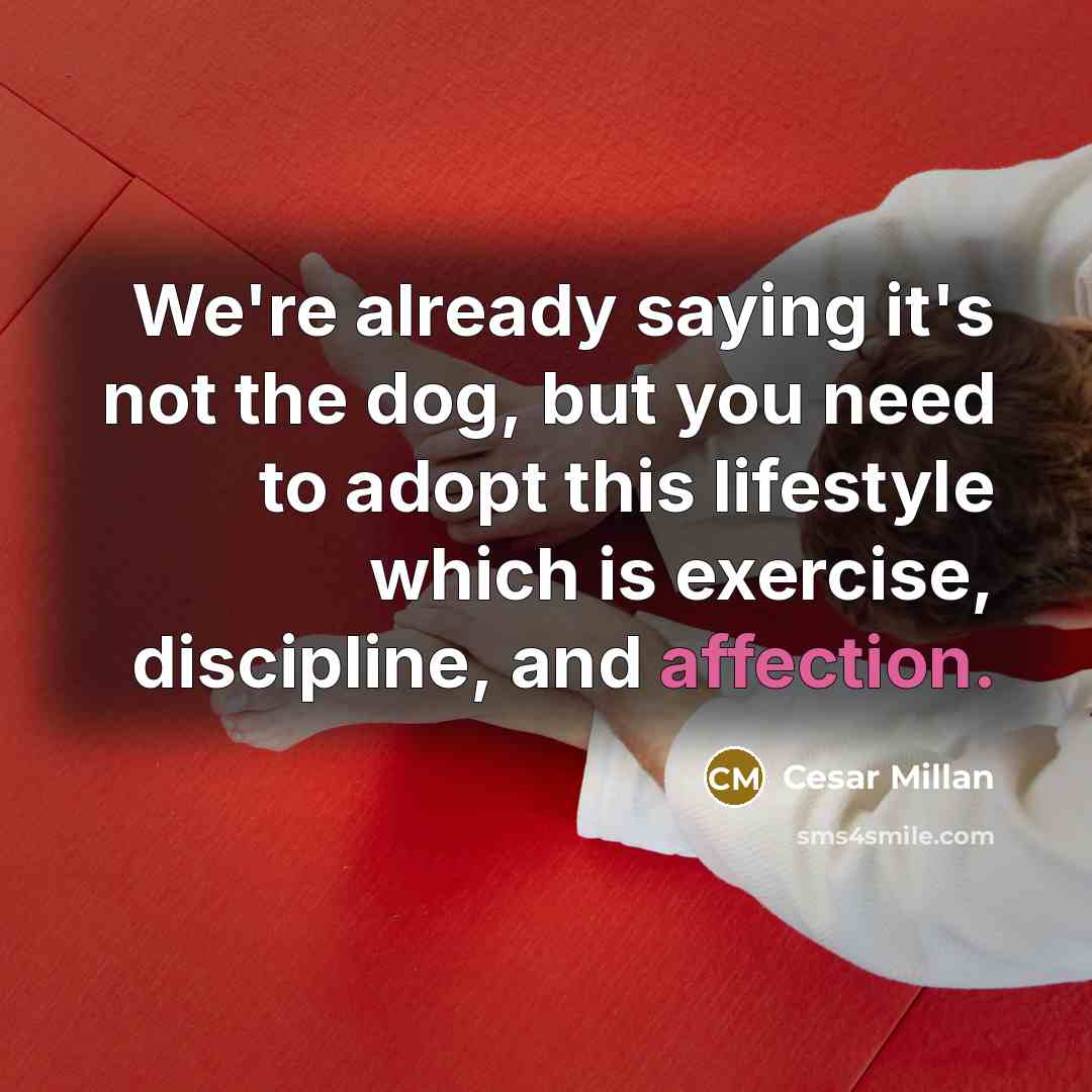“We're already saying it's not the dog, but you need to adopt this lifestyle which is exercise, discipline, and affection.” quote by Cesar Millan