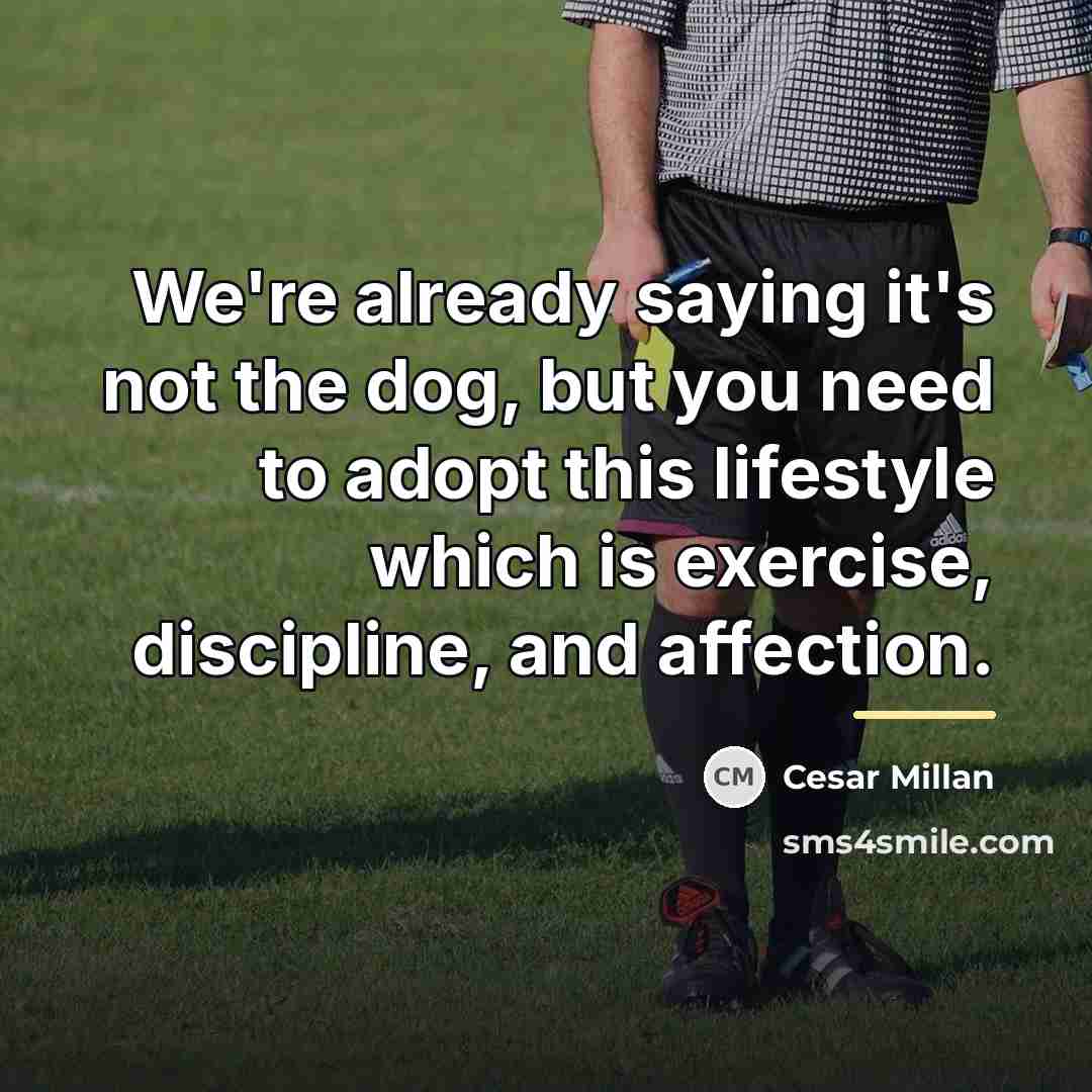 “We're already saying it's not the dog, but you need…” quote by Cesar Millan